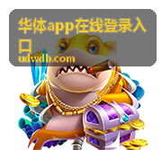 华体app在线登录入口页面加载异常的排查说明
